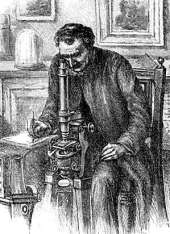 "Using the microscope in the upright position" c. 1880.