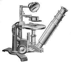 Bausch and Lomb Inverted Laboratory Microscope c. 1880.
